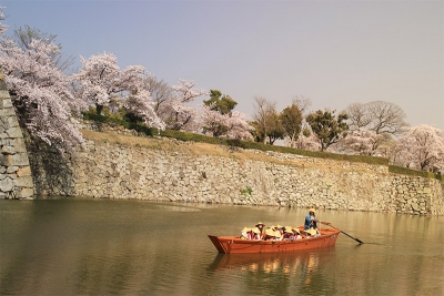 Tour Nhật Bản mùa Hoa Anh Đào 2018