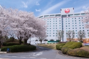 Hotel Nikko Narita