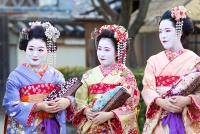 Những nàng kỹ nữ của Nhật Bản  Maiko - Geisha