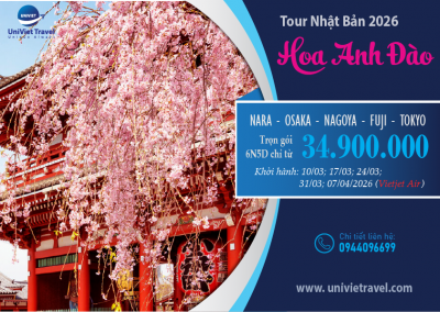TOUR NHẬT BẢN MÙA HOA ANH ĐÀO - VJ