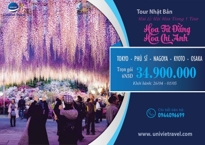 TOUR NHẬT BẢN MÙA HOA TỬ ĐẰNG - HOA CHI ANH