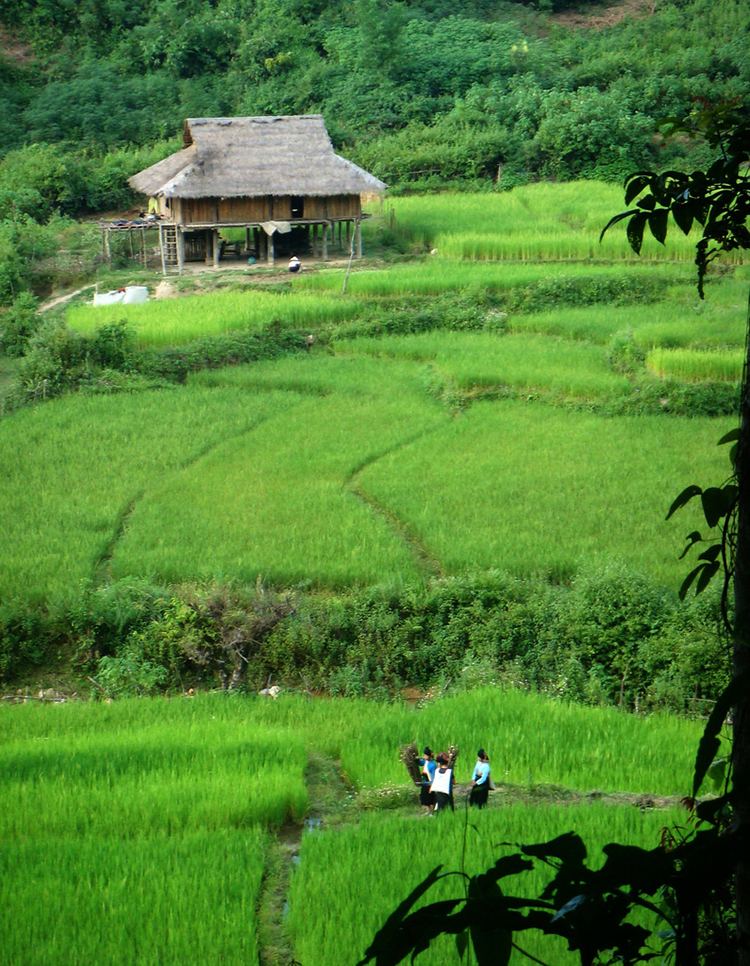 điện biên