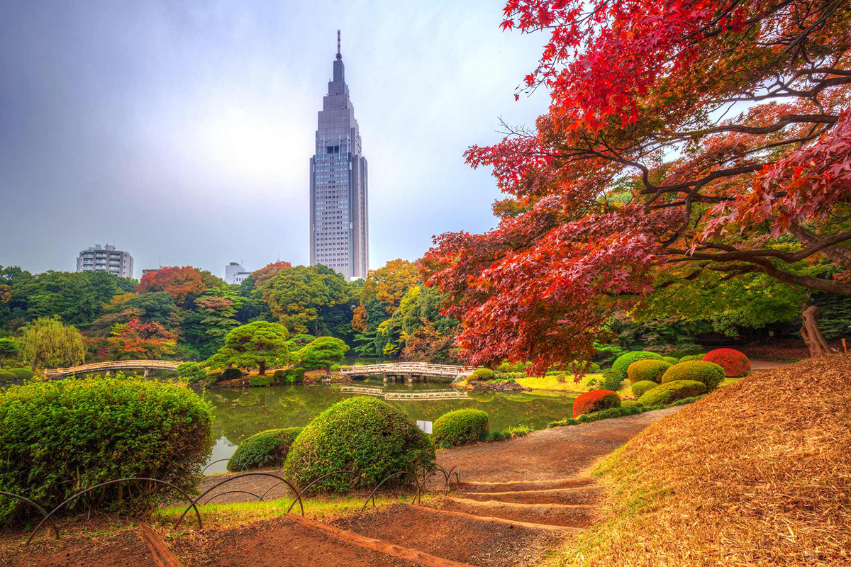 CÔNG VIÊN QUỐC GIA SHINJUKU GYOEN