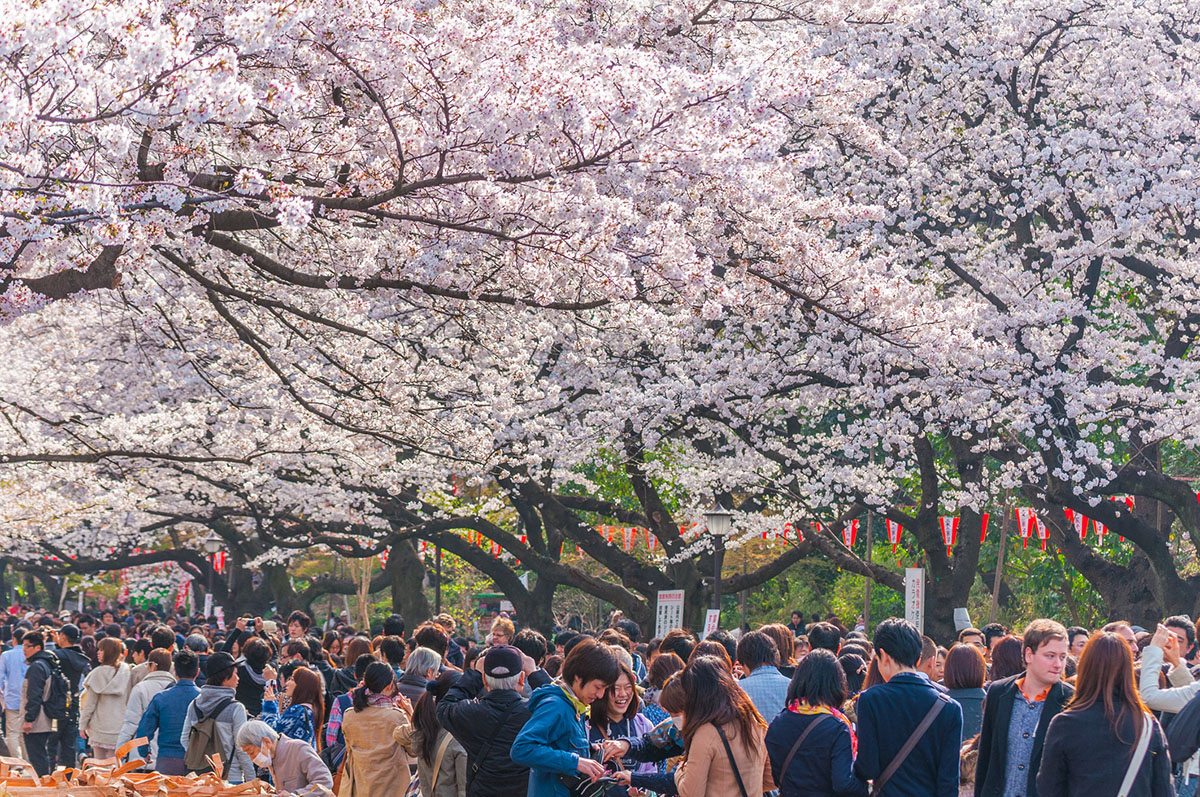 KHÁM PHÁ CÔNG VIÊN UENO LỚN NHẤT TOKYO