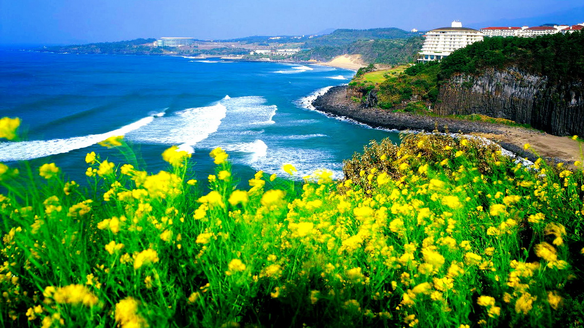 ĐẢO JEJU HÀN QUỐC - Univiet Travel - Unique Always