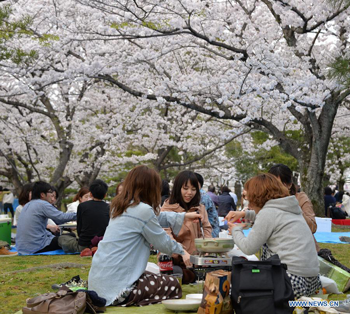 fukuoka trai tim vung kyushu