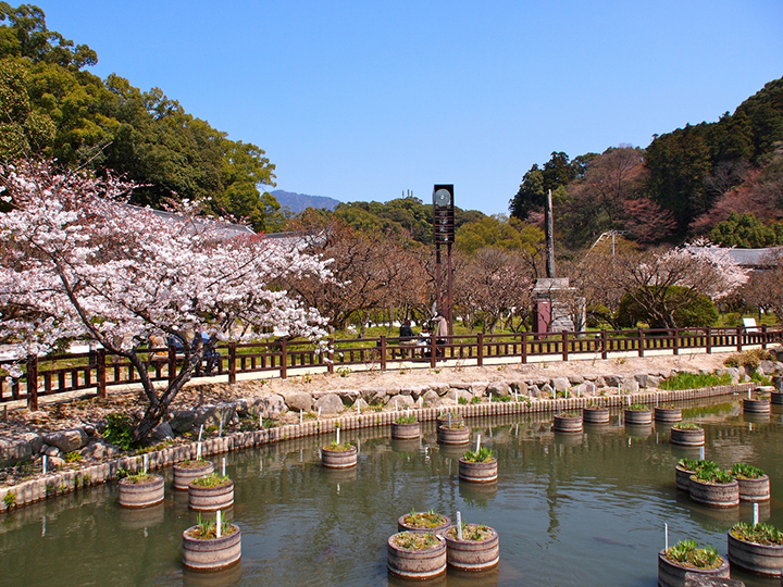 fukuoka trai tim vung kyushu