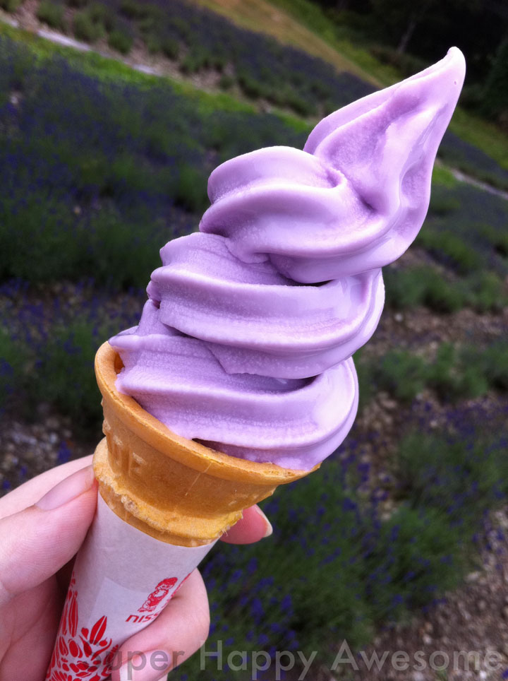 furano nhat ban vung dat cua hoa lavender