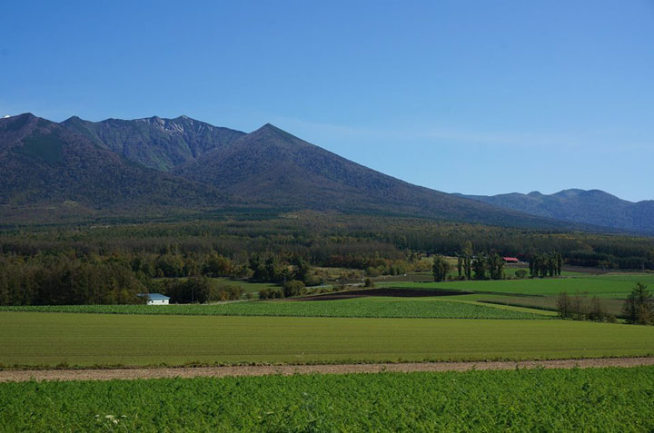 furano nhat ban vung dat cua hoa lavender