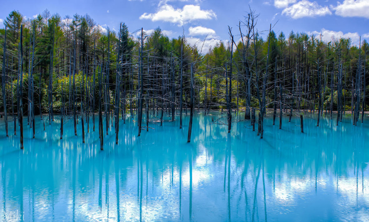 furano nhat ban vung dat cua hoa lavender