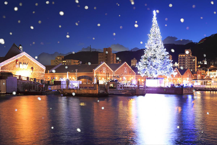 hakodate thanh pho chau au trong long nhat ban