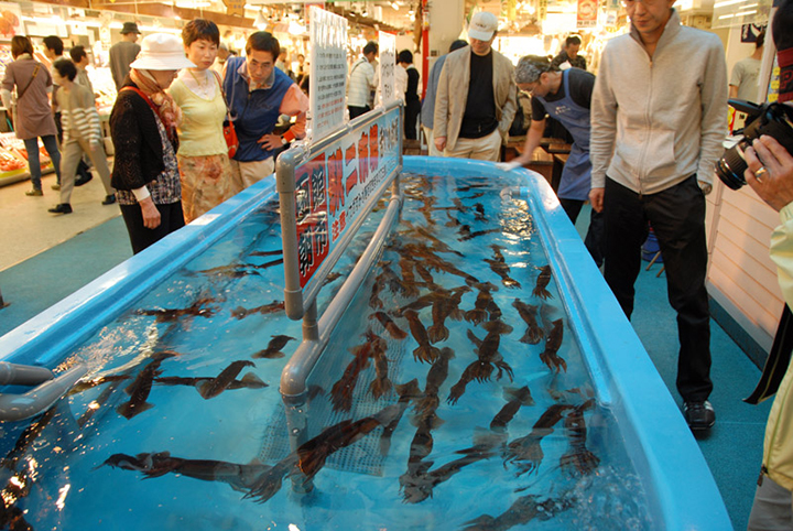 hakodate thanh pho chau au trong long nhat ban