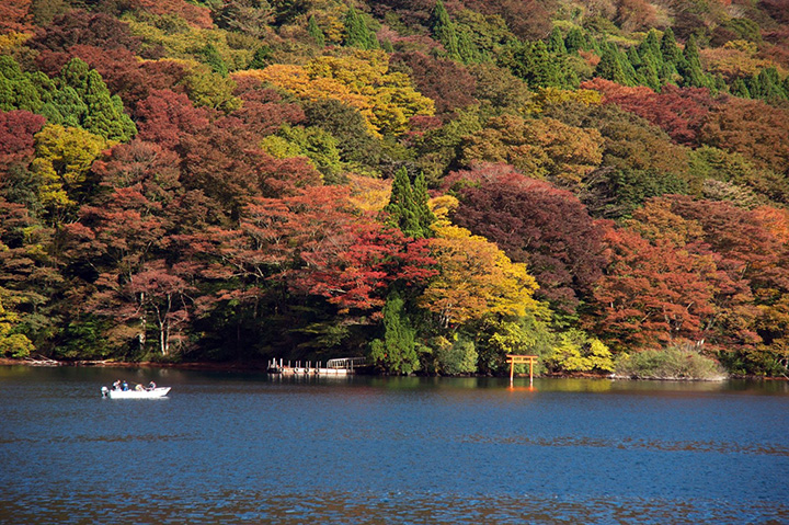 thi tran hakone nhat ban