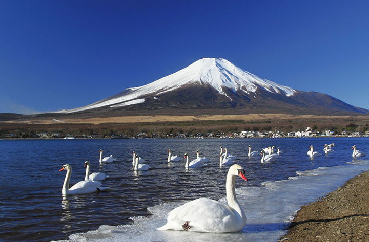 thi tran hakone nhat ban