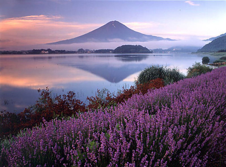 thi tran hakone nhat ban