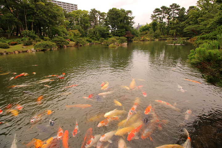 hiroshima suc song manh liet cua nhat ban