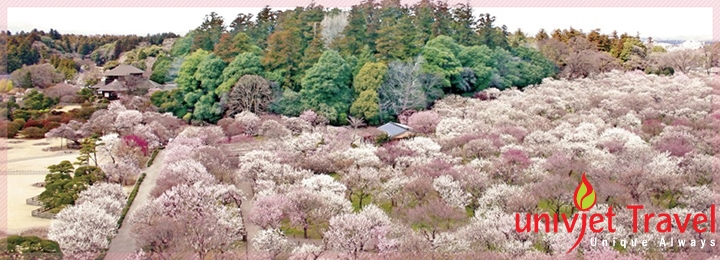 ibaraki nhat ban