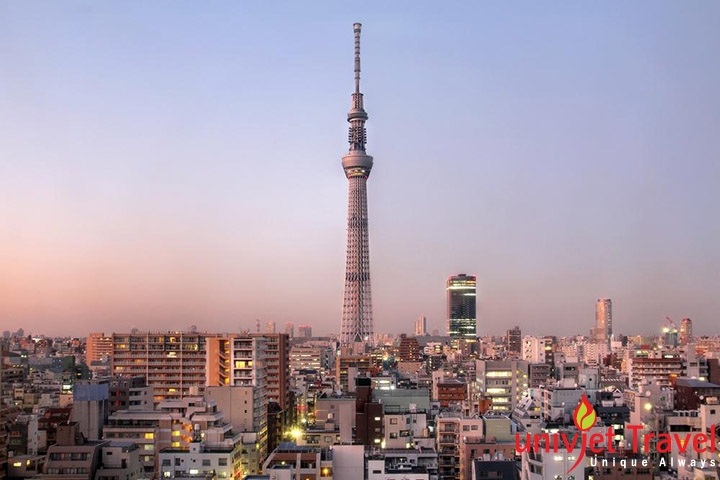 tokyo sky trê