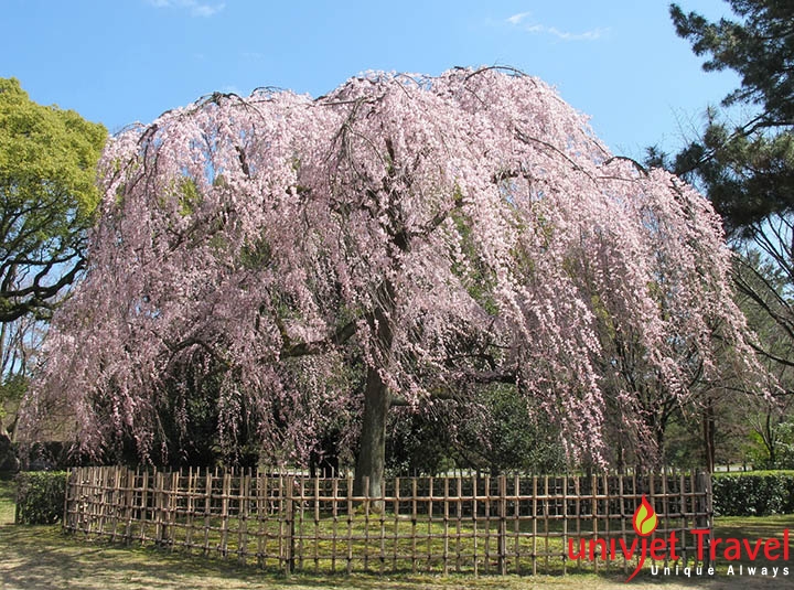 hoang cung kyoto
