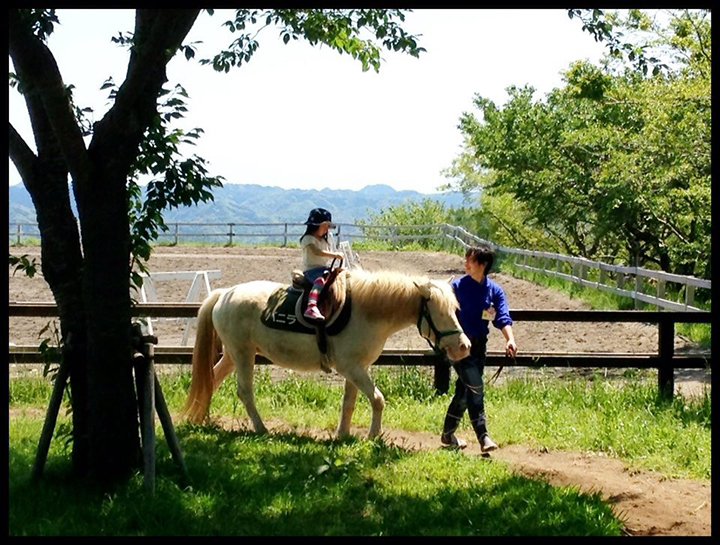 mother farm nhat ban