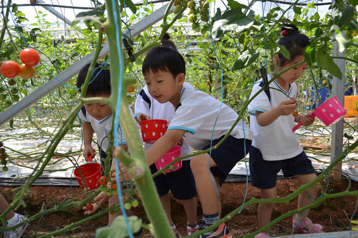 mother farm nhat ban