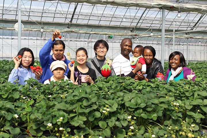 mother farm nhat ban