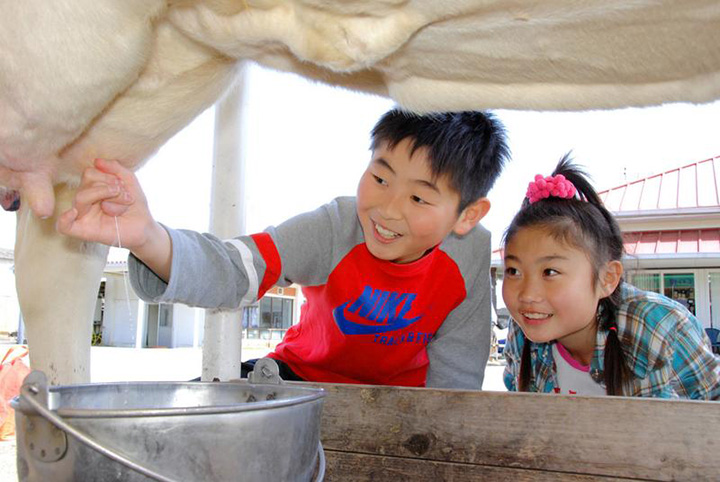 mother farm nhat ban