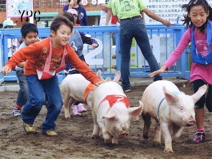 mother farm nhat ban
