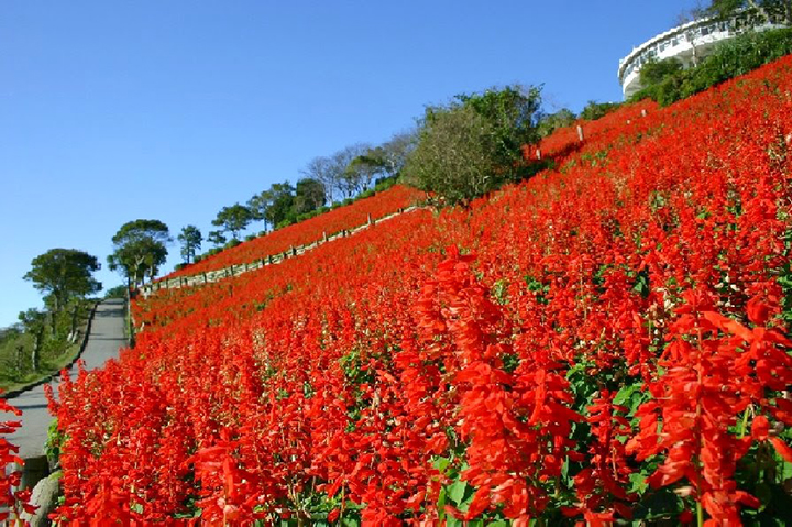 mother farm nhat ban
