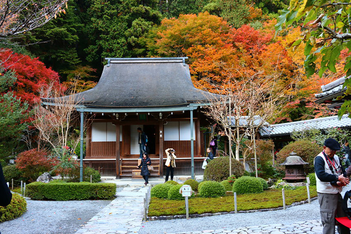 nagoya thu phu cong nghiep o to nhat ban