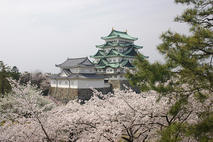 nagoya thu phu cong nghiep o to nhat ban