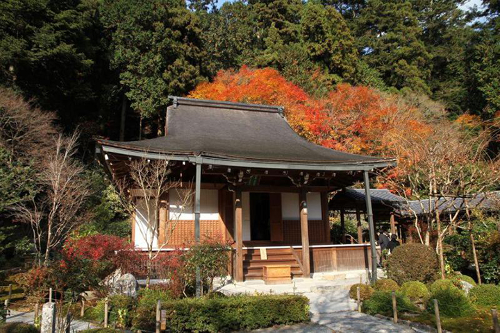 nagoya thu phu cong nghiep o to nhat ban