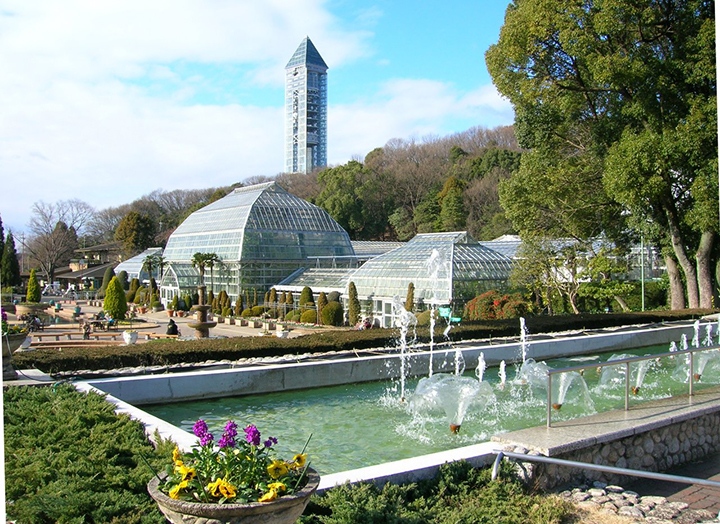 nagoya thu phu cong nghiep o to nhat ban