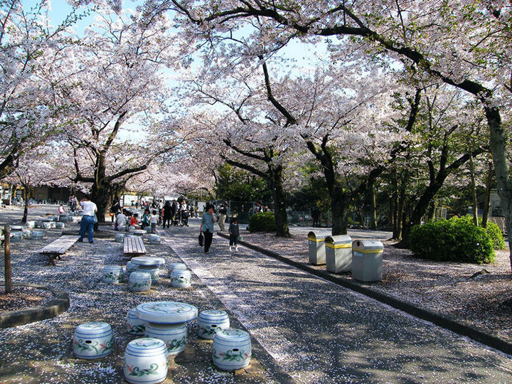 nagoya thu phu cong nghiep o to nhat ban