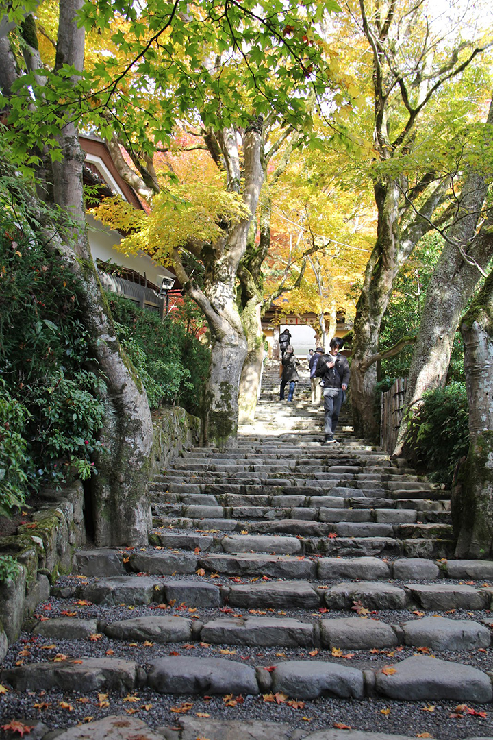 nagoya thu phu cong nghiep o to nhat ban