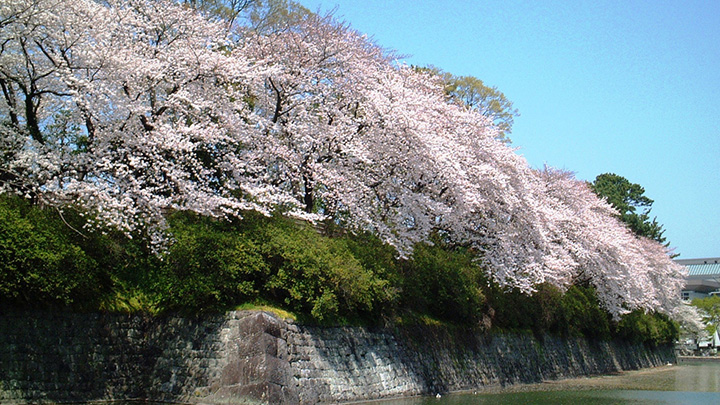 nagoya thu phu cong nghiep o to nhat ban