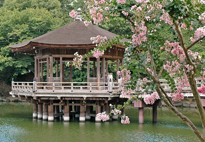 nara thanh pho cua nhung di san van hoa nhat ban