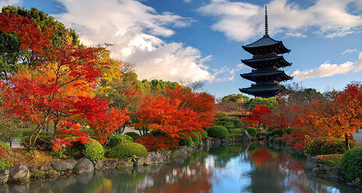 nara thanh pho cua nhung di san van hoa nhat ban