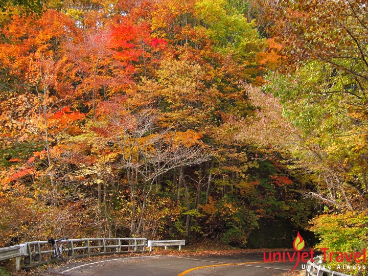 nikko