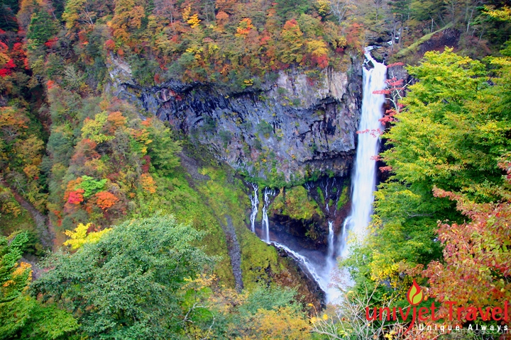 nikko