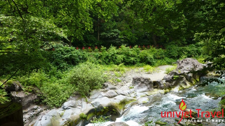 nikko