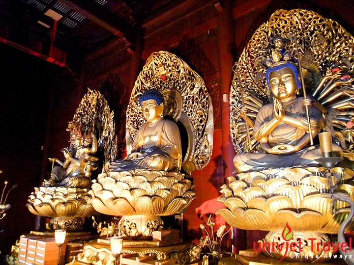 nikko