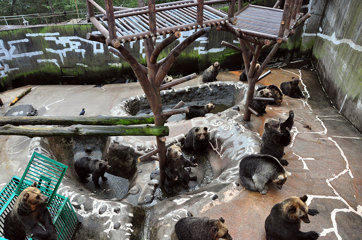 noboribetsu bach hoa onsen nhat ban