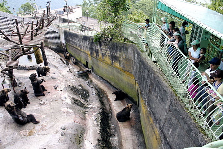noboribetsu bach hoa onsen nhat ban