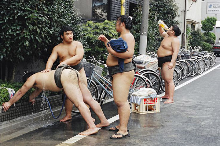 sumo nhat ban