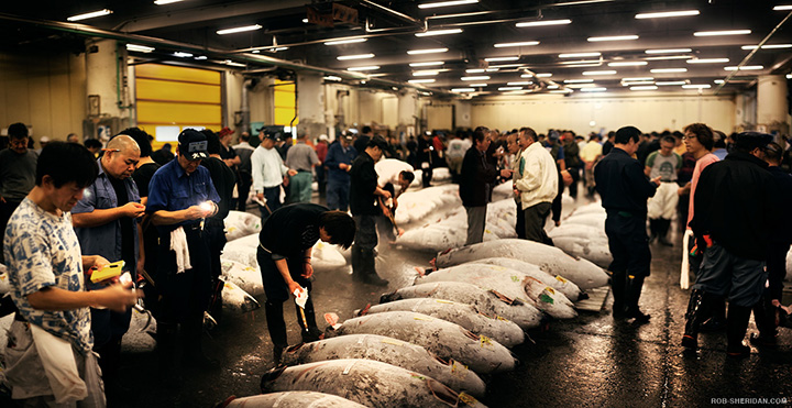 cho ca tsukiji tokyo