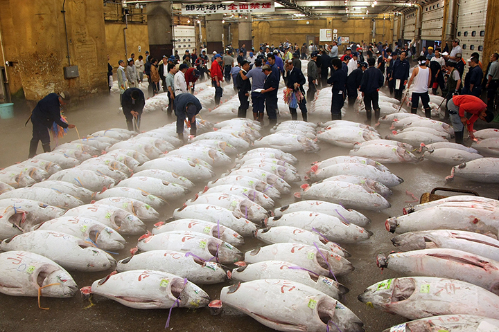 cho ca tsukiji tokyo