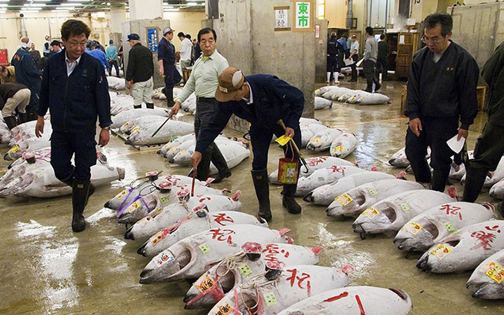 cho ca tsukiji tokyo