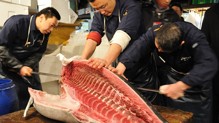 cho ca tsukiji tokyo