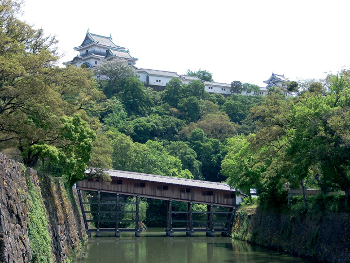 wakayama nguoi dep ngu cua Nhat Ban